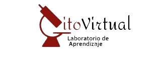 Aula de CitoVirtual Aula de CitoVirtual